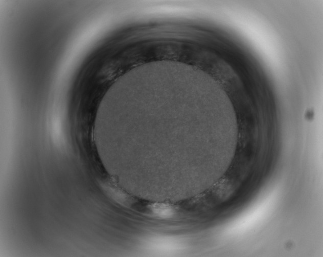 X0000102360766200808151813