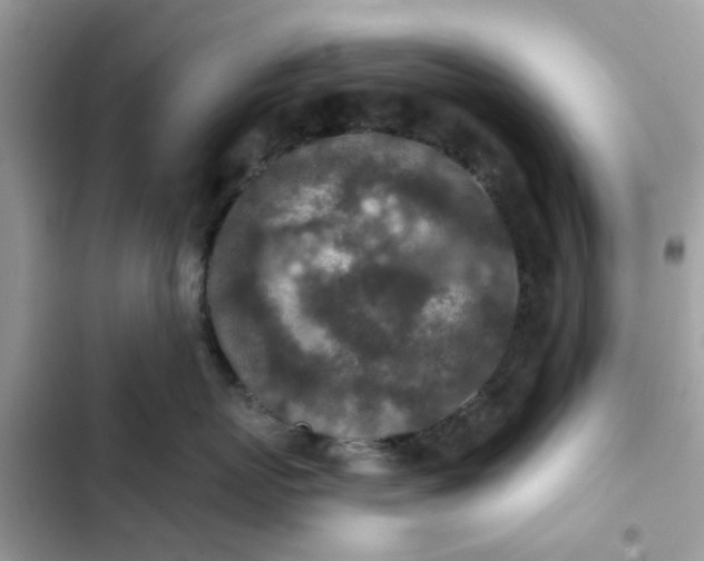 X0000102360767200808151813