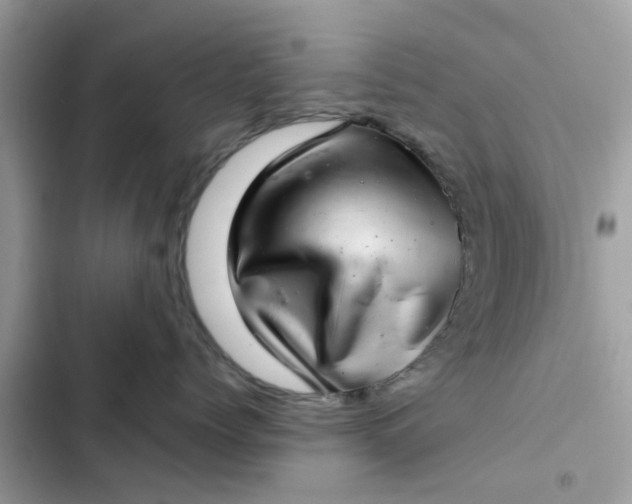 X0000102360768200808151813