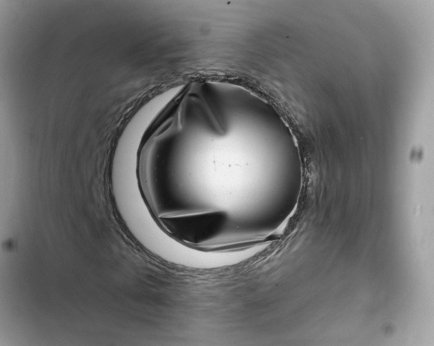 X0000102360769200808151812