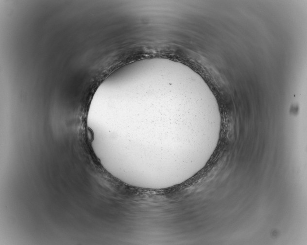 X0000102360770200808151812