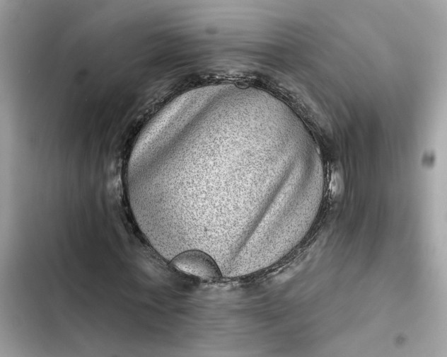 X0000102360771200808151812