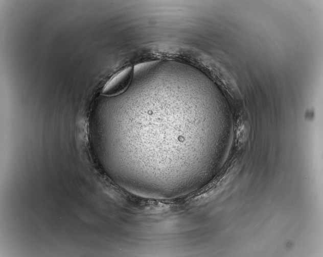 X0000102360772200808151812