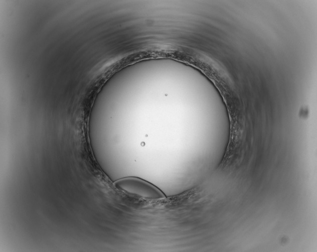 X0000102360773200808151812