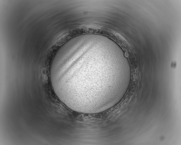 X0000102360774200808151812