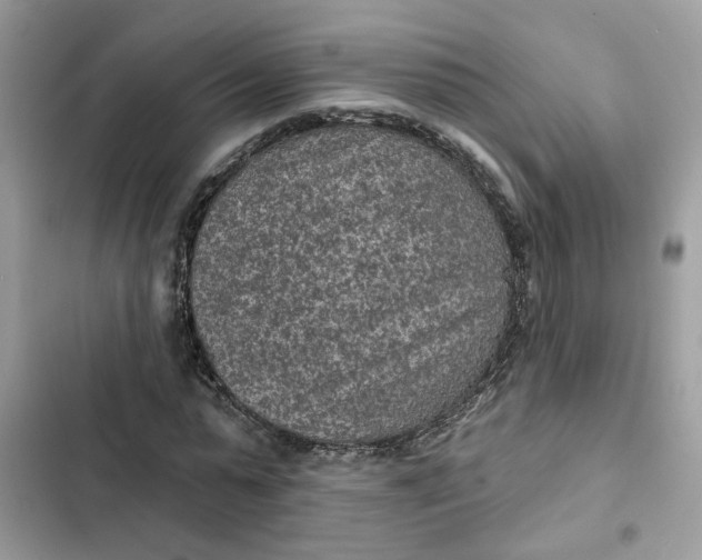 X0000102360775200808151812