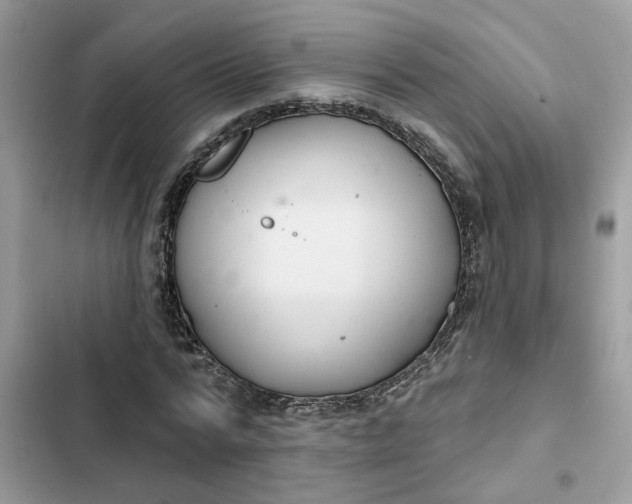 X0000102360776200808151812