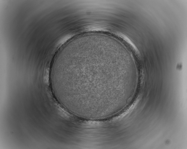 X0000102360777200808151812