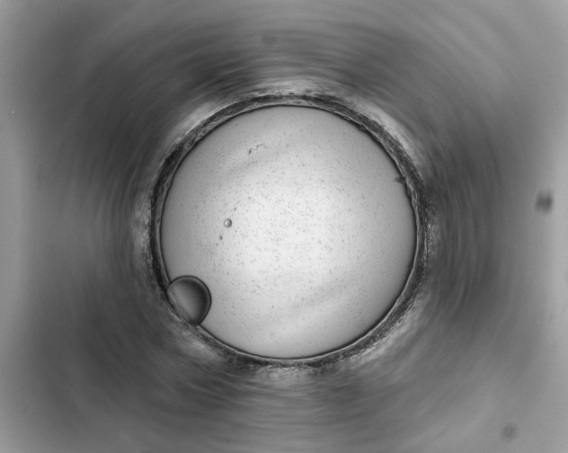 X0000102360778200808151812