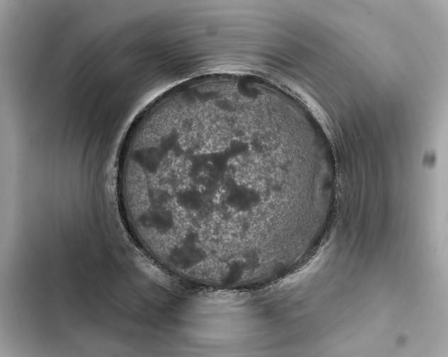 X0000102360779200808151812