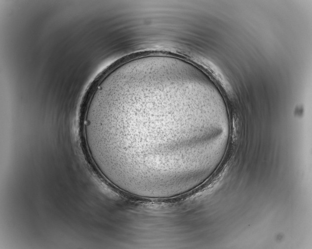 X0000102360780200808151812