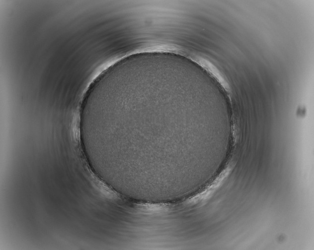 X0000102360781200808151812