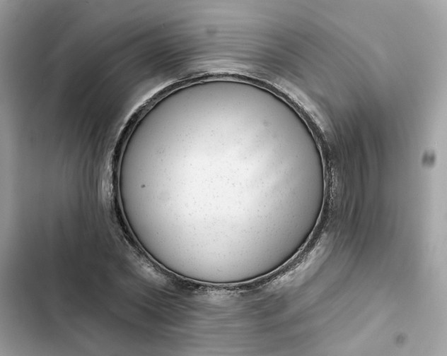 X0000102360782200808151812