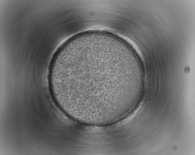 X0000102360783200808151812