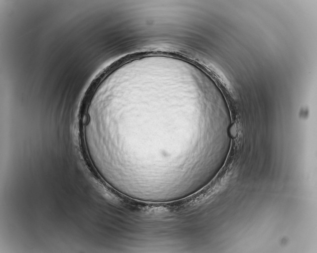 X0000102360784200808151812