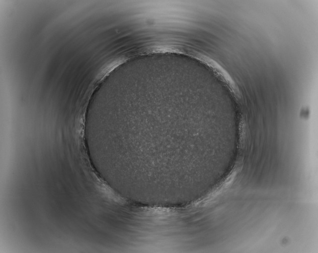 X0000102360785200808151812