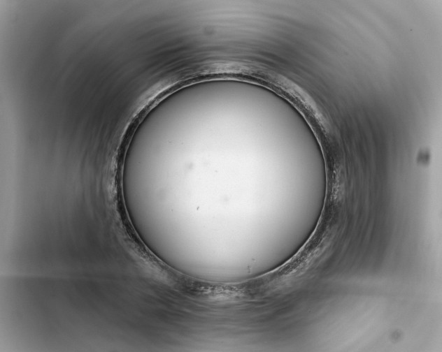 X0000102360786200808151812