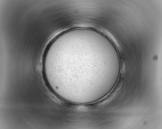 X0000102360787200808151812