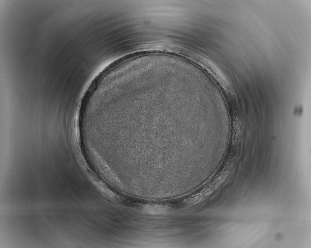 X0000102360788200808151812