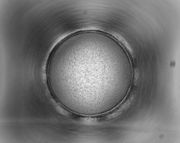 X0000102360789200808151812