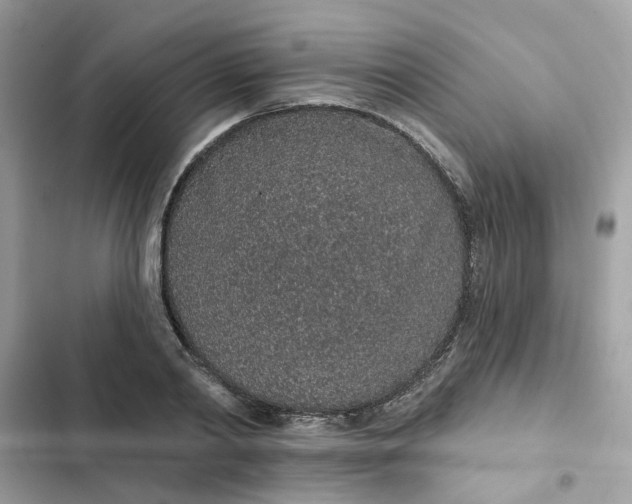 X0000102360790200808151812