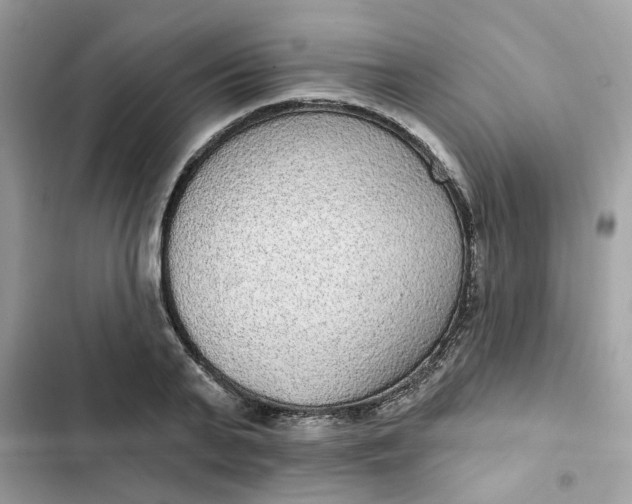 X0000102360791200808151812