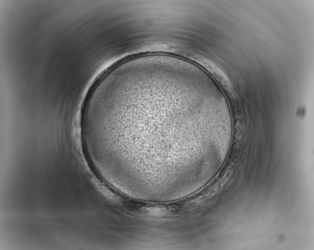 X0000102360792200808151812