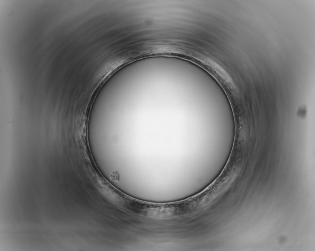 X0000102360793200808151812