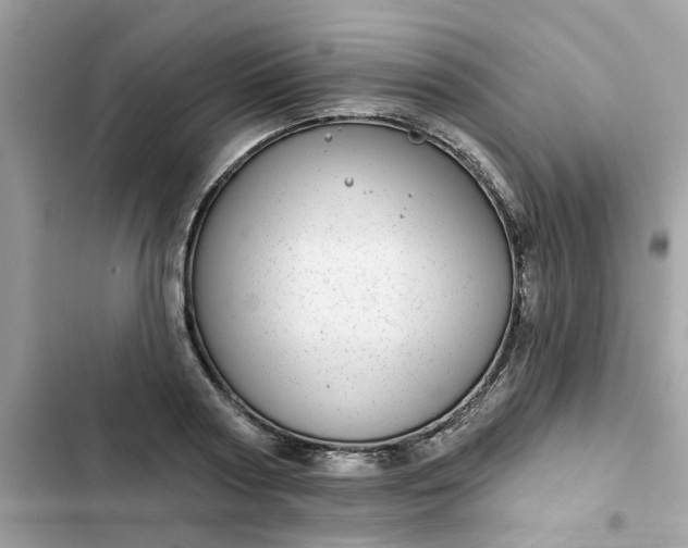 X0000102360794200808151812