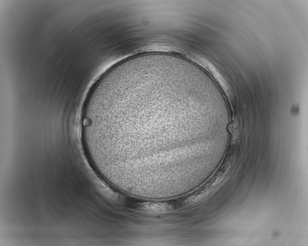 X0000102360795200808151812