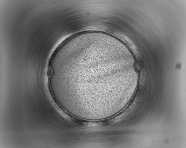 X0000102360796200808151812