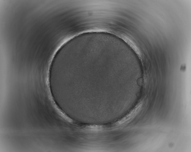 X0000102360797200808151812