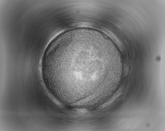 X0000102360798200808151812