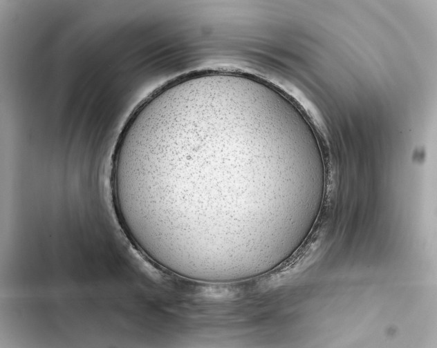 X0000102360799200808151812