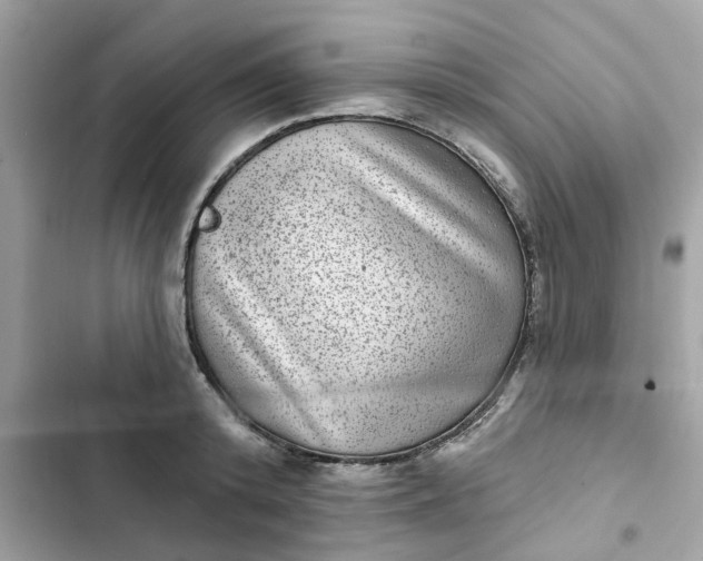 X0000102360800200808151812