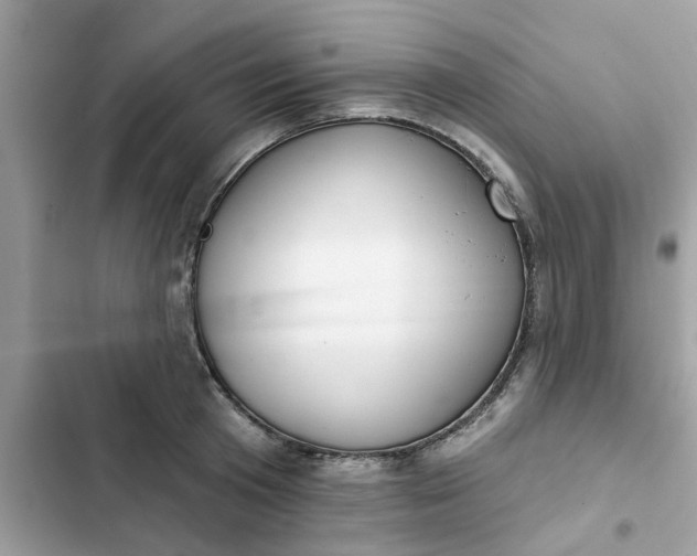 X0000102360801200808151812