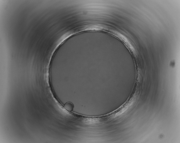 X0000102360802200808151812