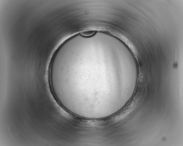 X0000102360803200808151811