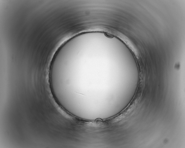 X0000102360805200808151811