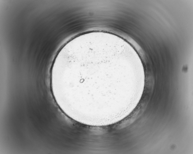 X0000102360807200808151811