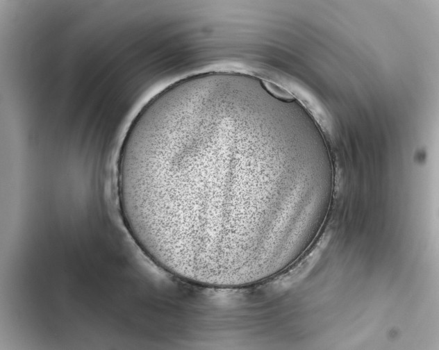 X0000102360808200808151811