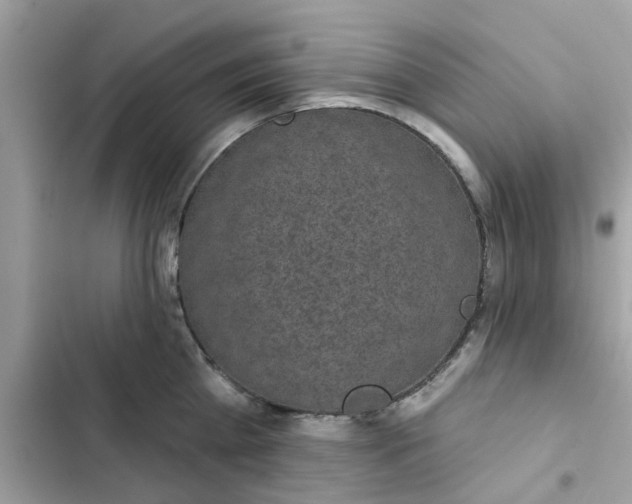 X0000102360809200808151811