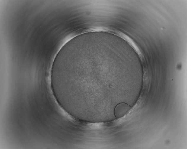 X0000102360810200808151811