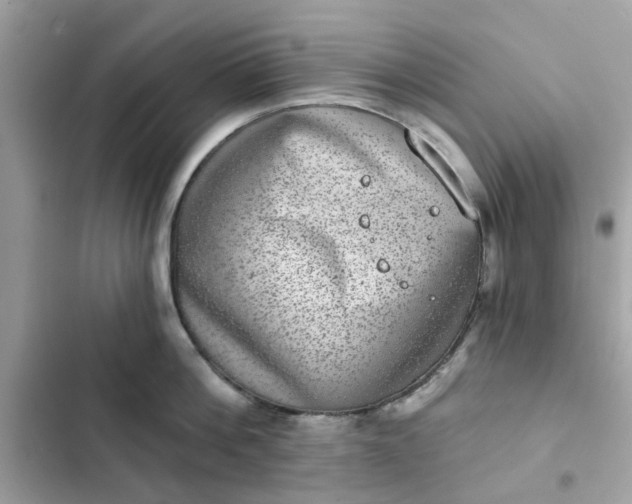 X0000102360812200808151811