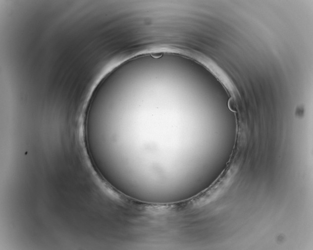 X0000102360813200808151811