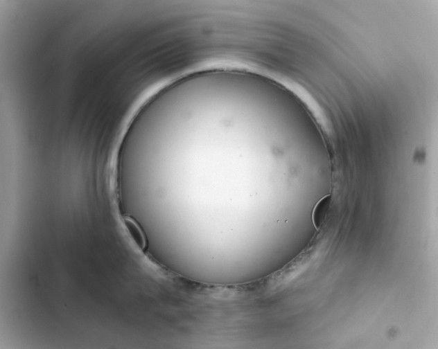 X0000102360815200808151811