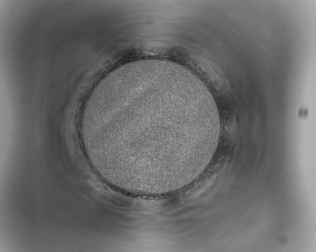 X0000102360817200808151811