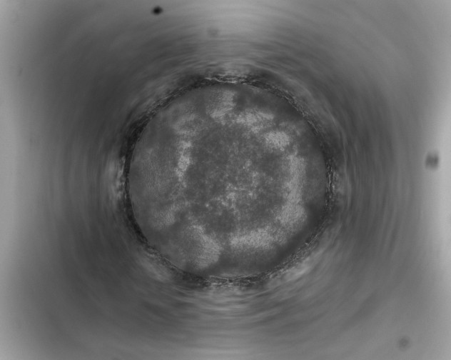 X0000102360818200808151811