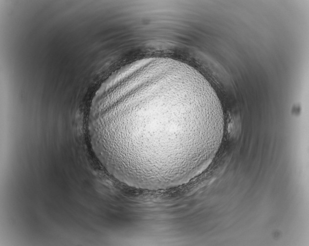 X0000102360819200808151811