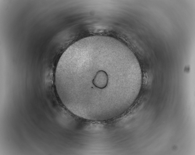 X0000102360820200808151811